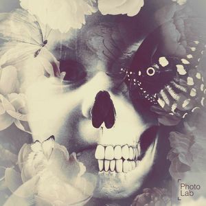 Meet your Posher, Nikki